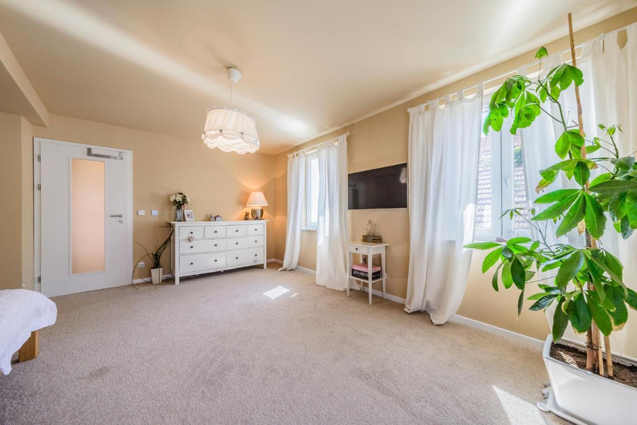 Mikulov Apartmany Magistr 外观 照片